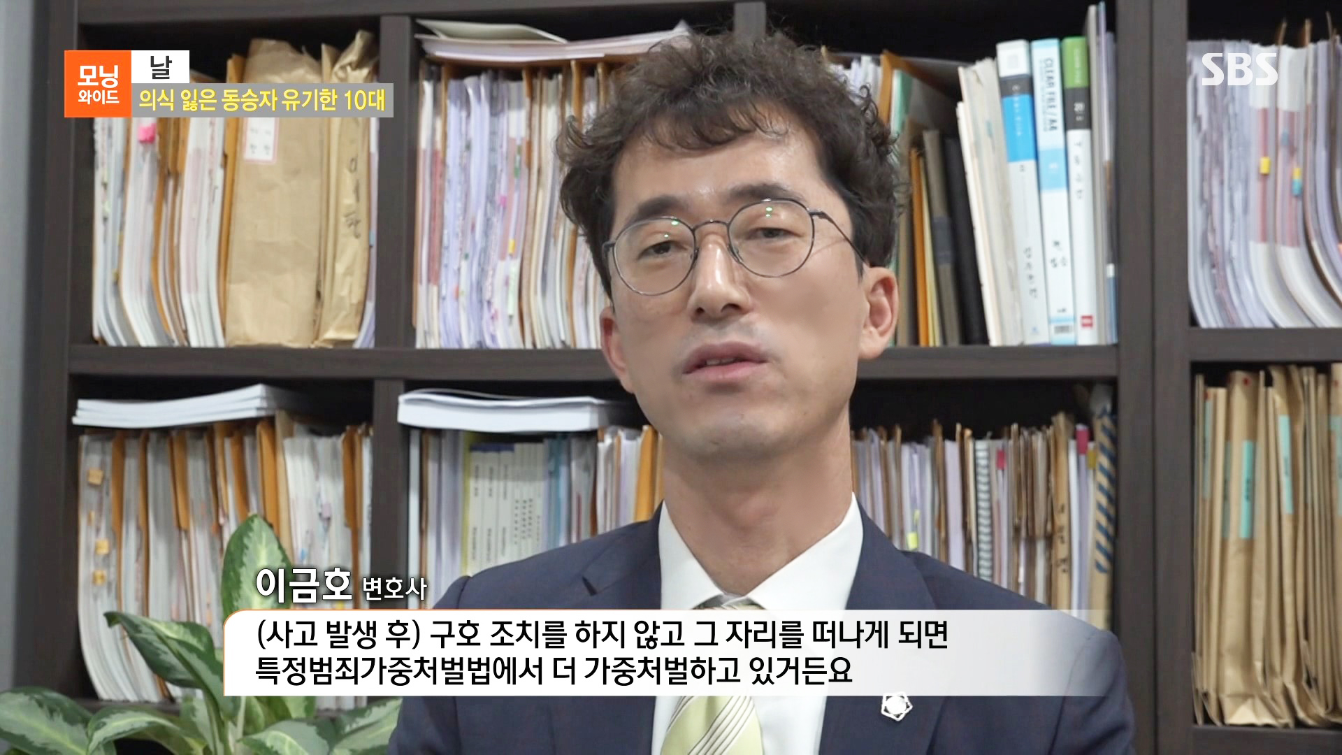 언론보도